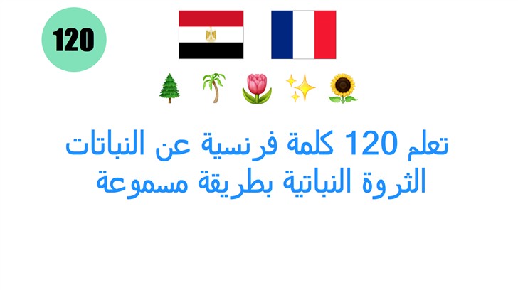 تعلم 120 كلمة فرنسية عن النباتات: الثروة النباتية بطريقة مسموعة